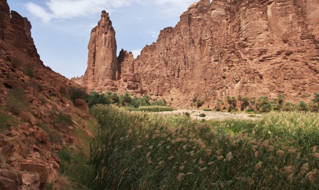 Environmental Compliance